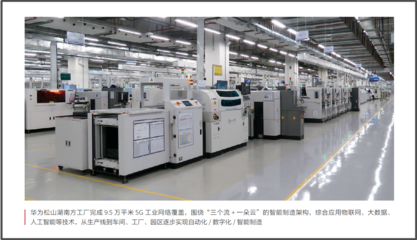 2020华为胡杨报告 网络技术服务的新篇章